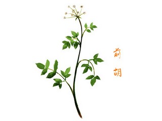 描写乡村儿童的诗句_《村居》孟浩然