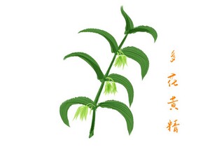 元日王安石诗词赏析（《元日》王安石）