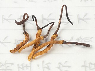 初二以亲情为题的作文（初二以亲情为题的作文600字）