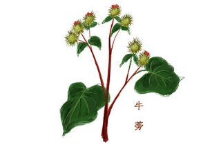 经典古诗文优秀手抄报（古诗经典手抄报图片）
