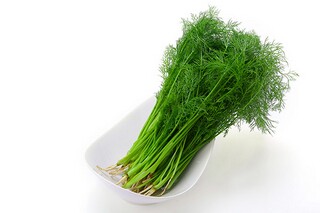 心情不好的句子_心情不好的句子 伤感