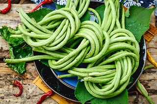 庆元旦迎新年作文（庆元旦迎新年作文结尾）