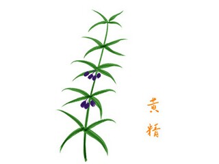我得到了教训三年级作文450字（我得到了教训作文450字(五年级)）