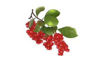 批评与自我批评发言稿简短_批评和自我批评500条