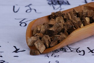 写菊花的作文（写菊花的作文300字）