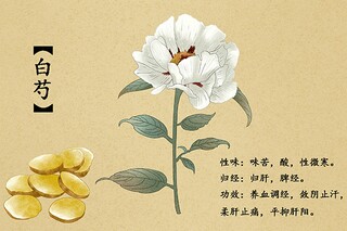 清明祭英烈作文_清明祭英烈相关作文