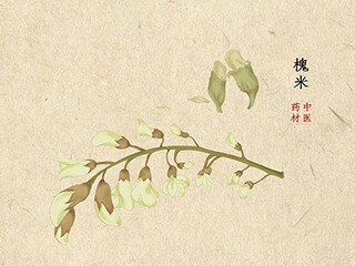 踏春的诗句_踏春的诗句都有哪些