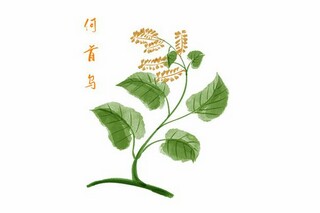 温馨母亲节祝福朋友圈句子