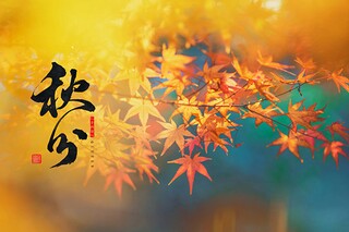 安全生产隐患排查工作总结（安全生产隐患排查工作总结工作情况）