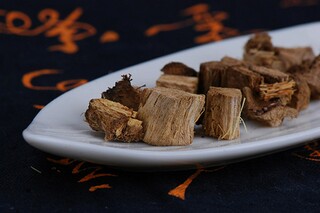 爱心小天使作文（爱心小天使宣传语）